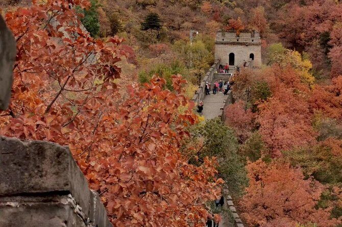Private Tour: Forbidden City and Mutianyu Great Wall with Cable Car or Toboggan - Entering the Forbidden City: How VIP Access Changes the Day