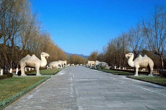 Private Tour to Mutianyu Great Wall and Ming Tombs - Who this private Mutianyu and Ming Tombs tour is best for