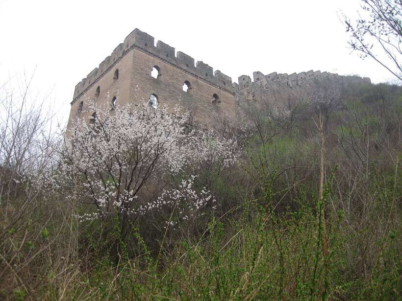 Self-guided challenging hiking from Jinshanling to Gubeikou - Support during the day: driver help, translation tools, and who might reply