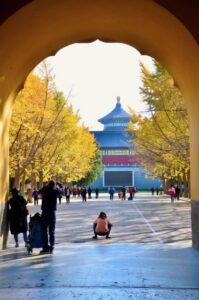 Small-Group Beijing City Highlights Tour With Lunch - Temple of Heaven and the harvest-prayer idea