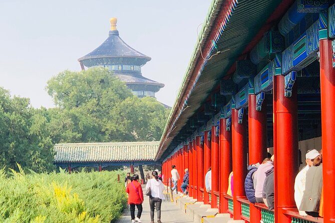 Temple of Heaven Ticket - Temple of Heaven Ticket: how this ticket-only visit really feels