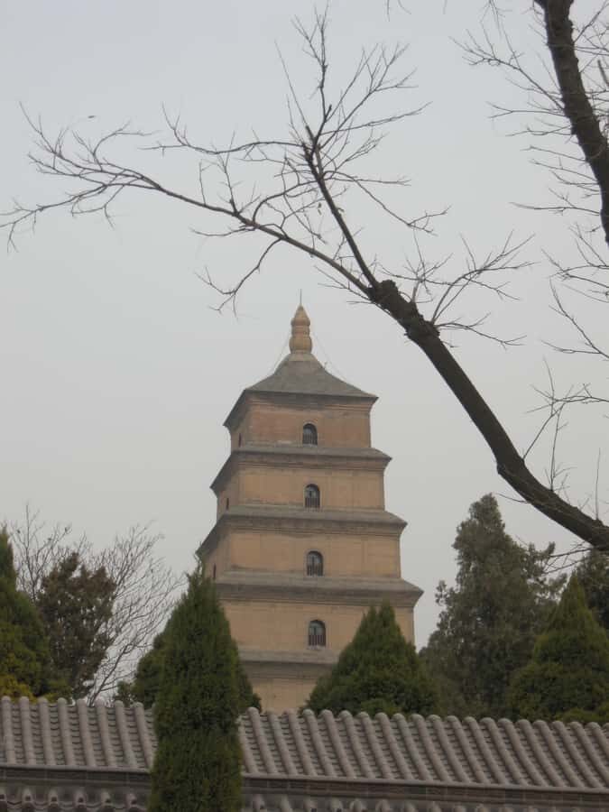 Xi'an: Terra-Cotta Warriors Entry with Optional Guide - Booking that actually saves you time